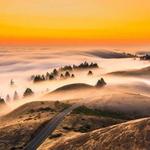 Mount Tamalpais