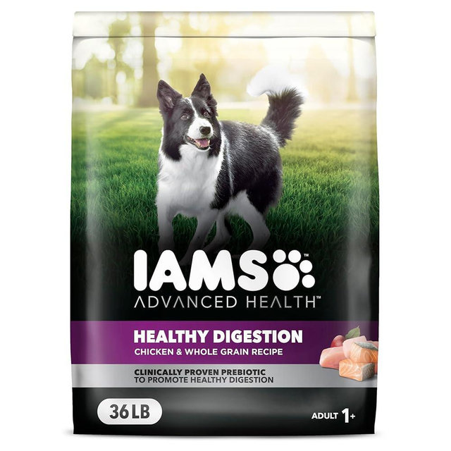 Iams Advanced Health Adult Healthy Digestion Dry Dog Food with Real Chicken, 36 lb. Bag