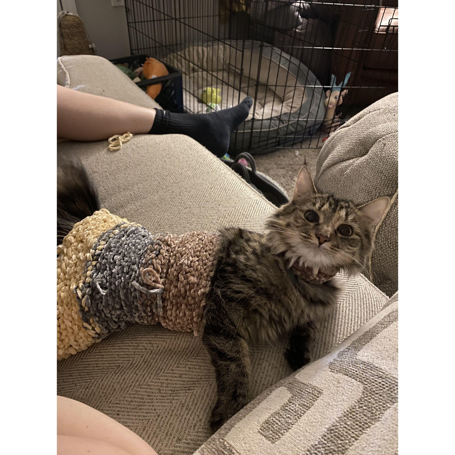 Gabrielle's first crochet project was not a hit