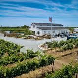 Serendipity Cellars