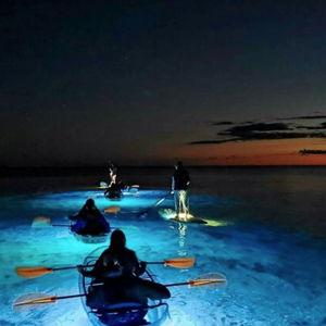 Bioluminescent Kayaking for Two