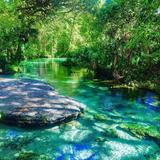 Kelly Park - Rock Springs