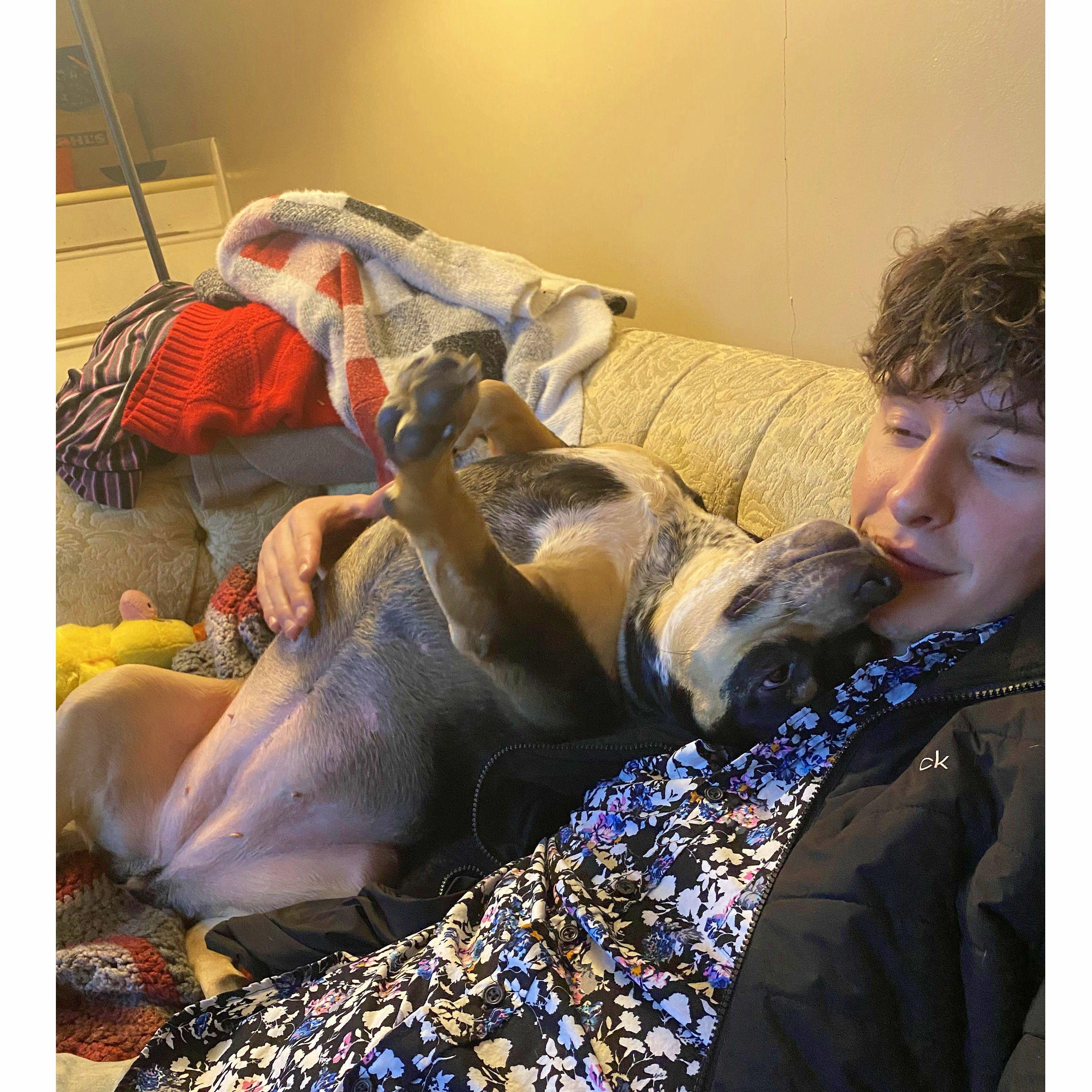 Violet snuggles, 2023