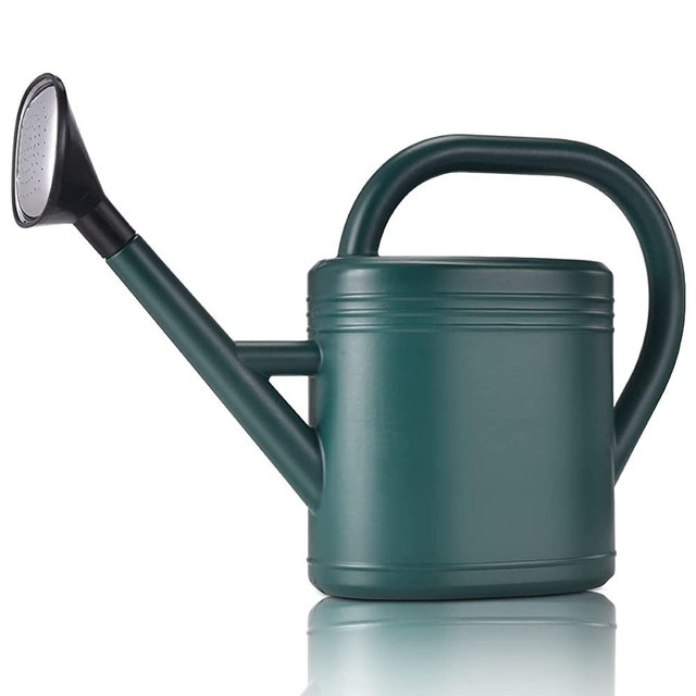 NERUB Watering Can 1 Gallon for Indoor Plants, Garden Watering Cans Outdoor Plant House Flower, Gallon Watering Can Large Long Spout with Sprinkler Head (Green)