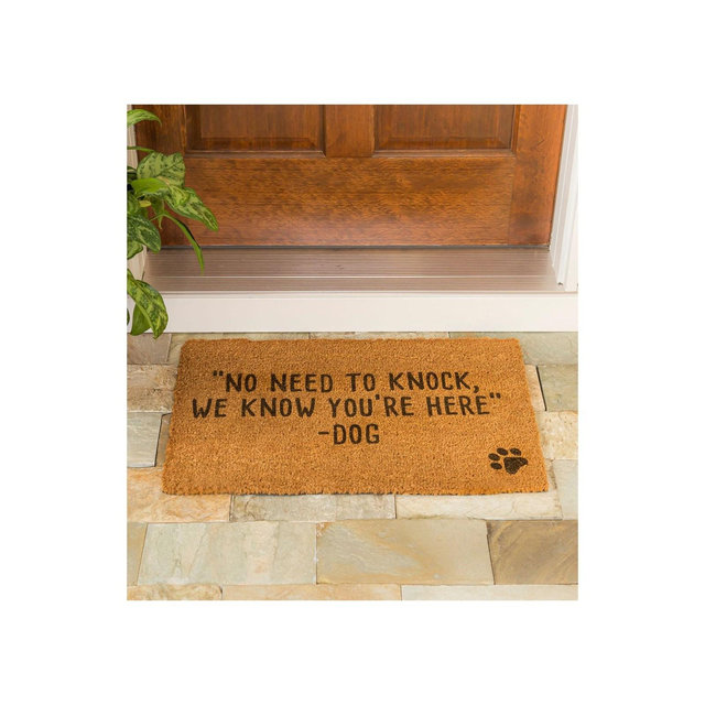 Evergreen Don't knock, the Dogs know you are here