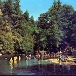 Swimming: Junction Park