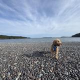 Jasper Beach