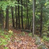Androscoggin Riverlands State Park - Parking