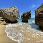 Survival Beach, Aguadilla