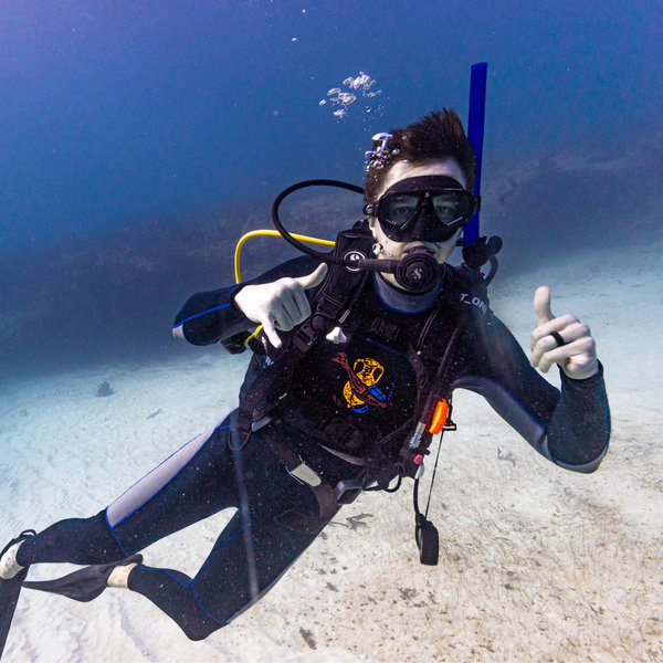 Shark Diving