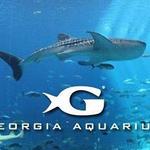 Georgia Aquarium