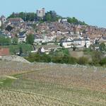 Loire Valley Wine Tours