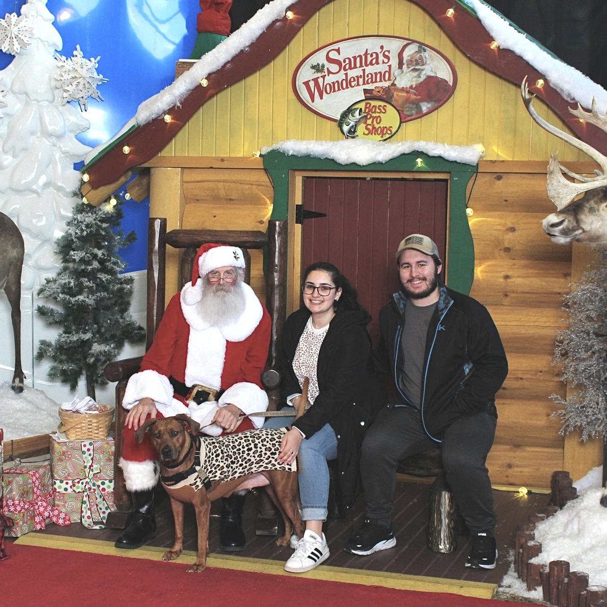 Christmas 2022