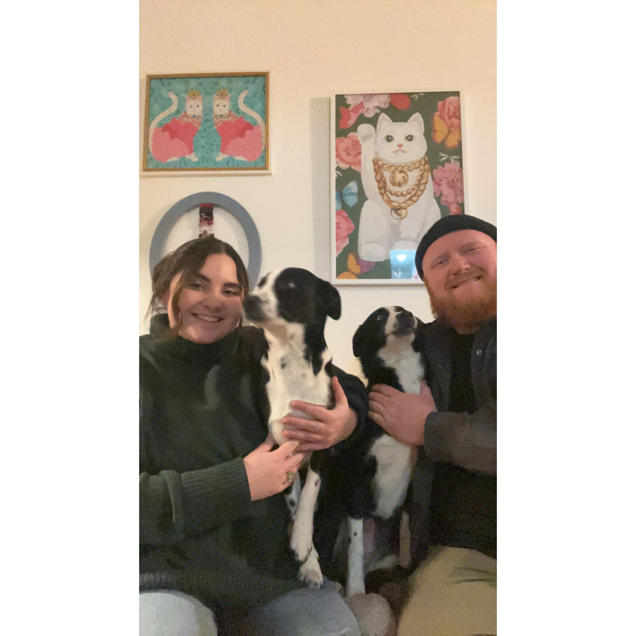 11/28/2024 - Celebrating the pups first Thanksgiving!