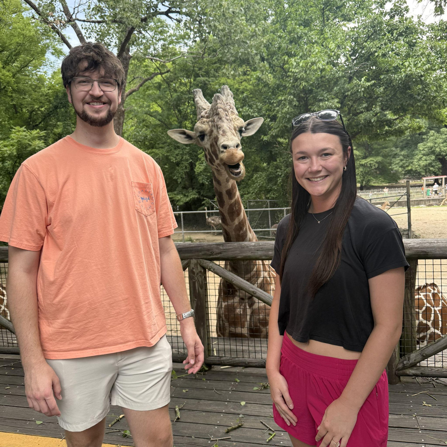 Recreation of our first trip to the zoo feeding the giraffes