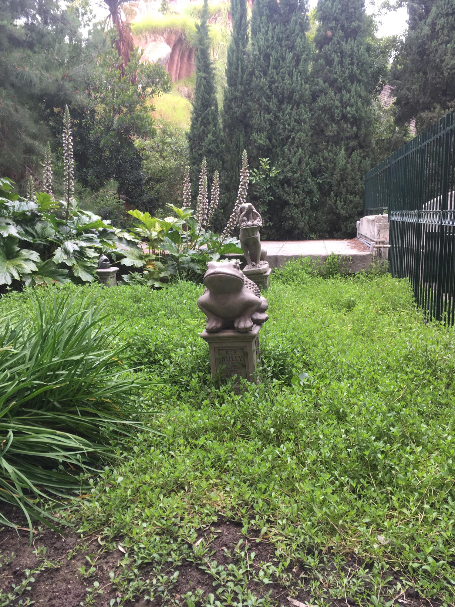 The pet cemetery