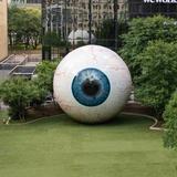 Giant Eyeball - Kailani's Favorite!