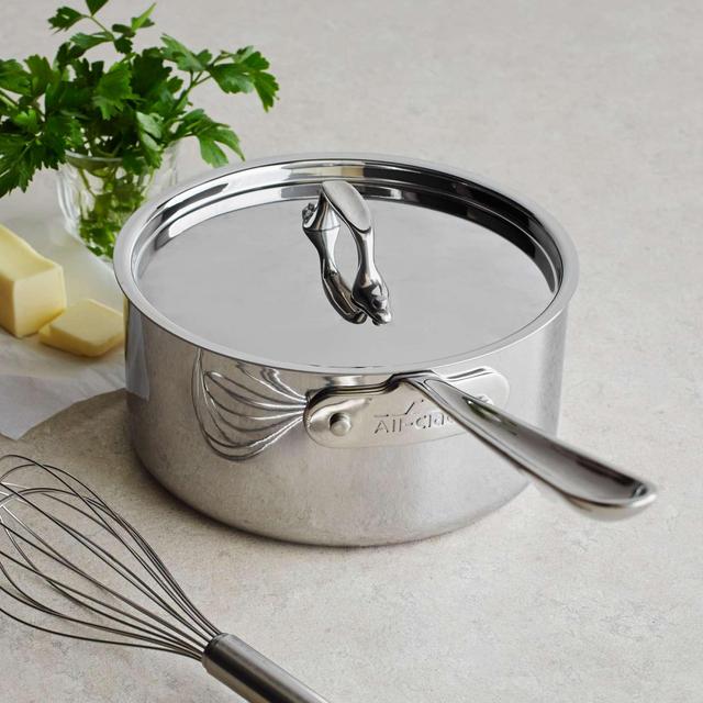 All-Clad Stainless Steel Saucepans with Lids