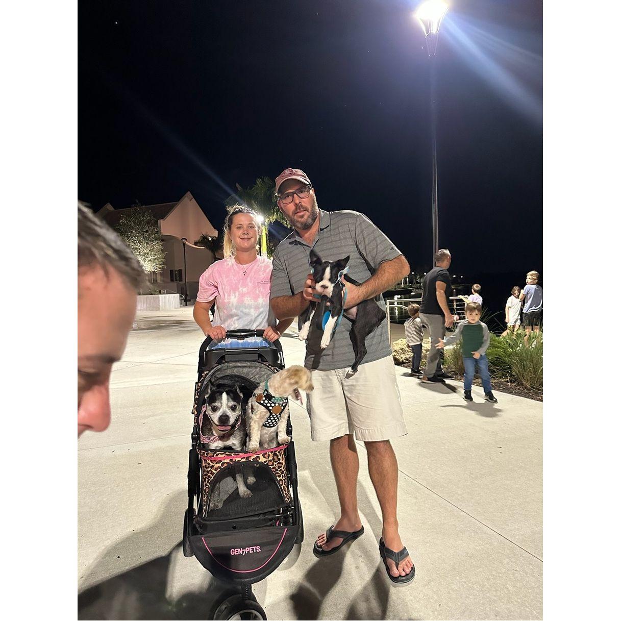 Taking the babies for a stroll.