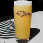 The Veil Brewing Co.