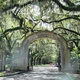 Wormsloe Historic Site