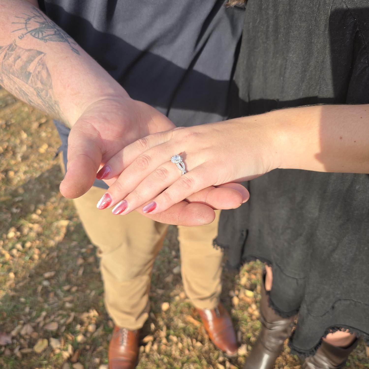 The Proposal 2025
