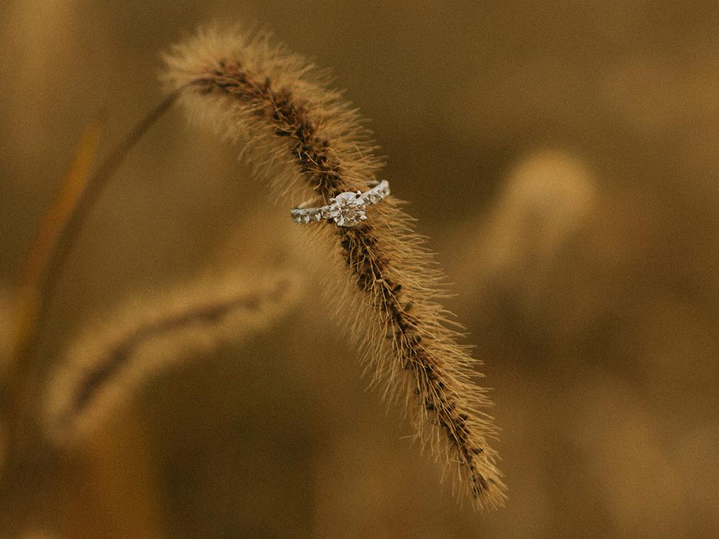 The Wedding Website of Erika Flynn and Timothy Printer