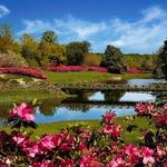 Mobile Botanical Gardens