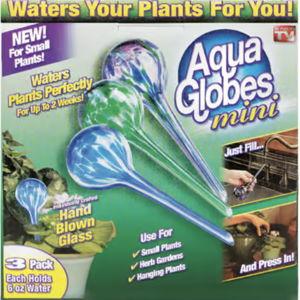 Assorted Glass Aqua Globe