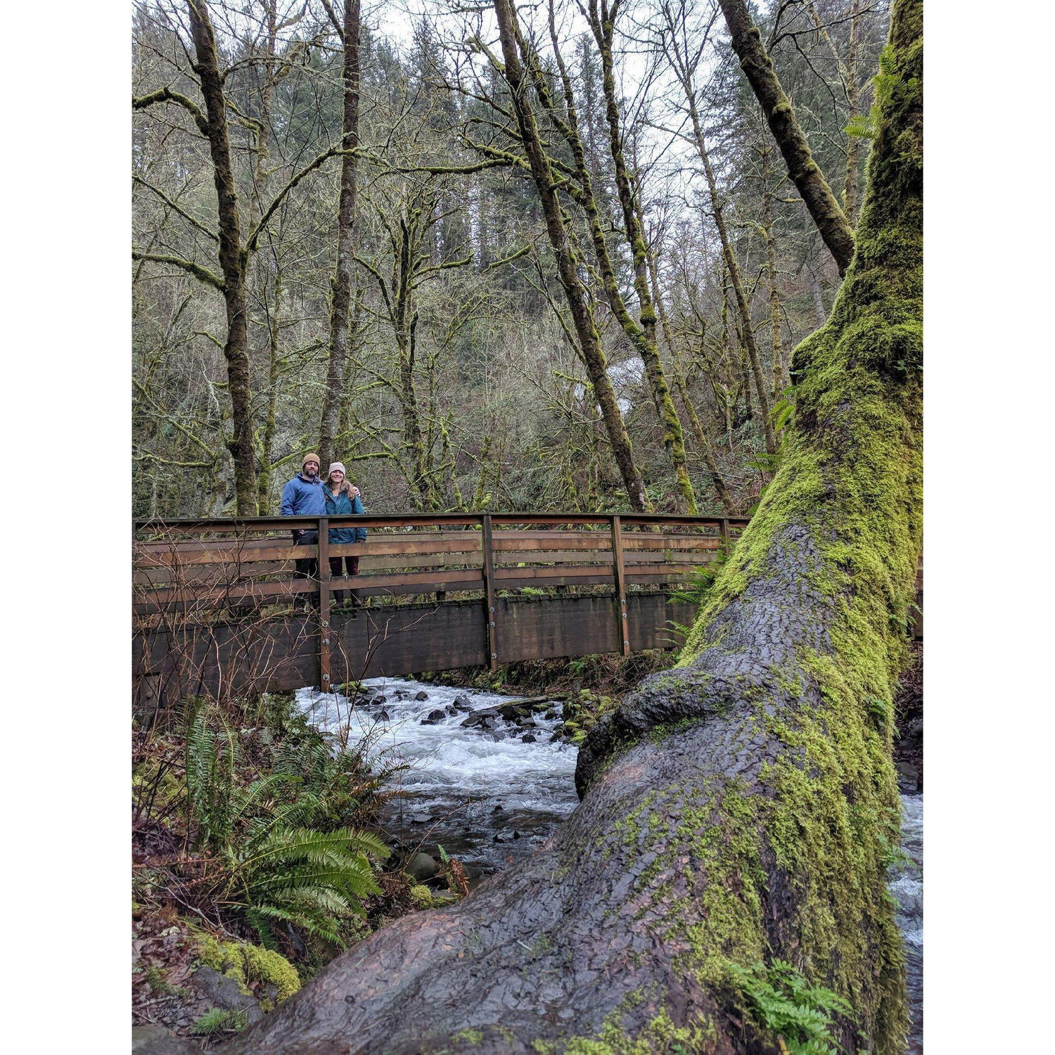 Another great shot taken by Shannon at Bridal Veil waterfall in Feb 2018
