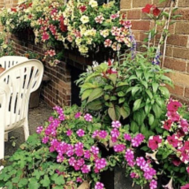 Outdoor garden