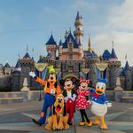 Disneyland & Disney's California Adventure