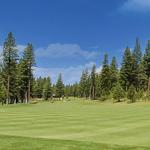 Golfing