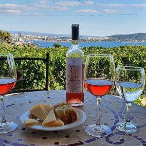 Rooftop Wine Tasting Experience