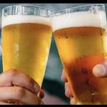 Bear Island Brewing Co.