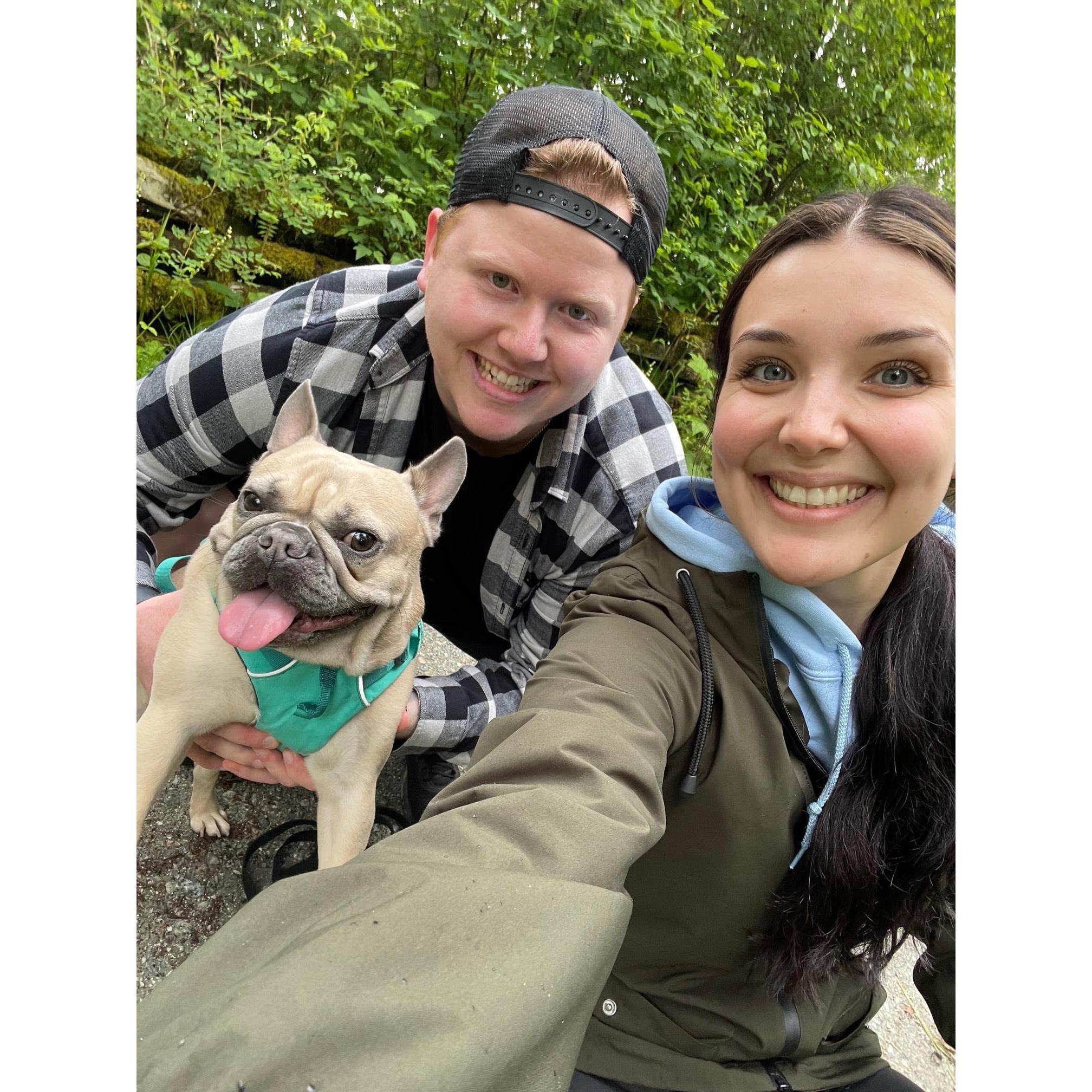 Our frenchie Bubba, who most of you already know! :)