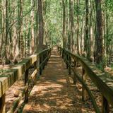 Santee State Park