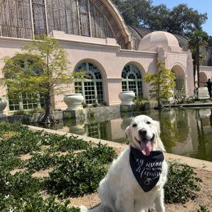 Stella's Fund
