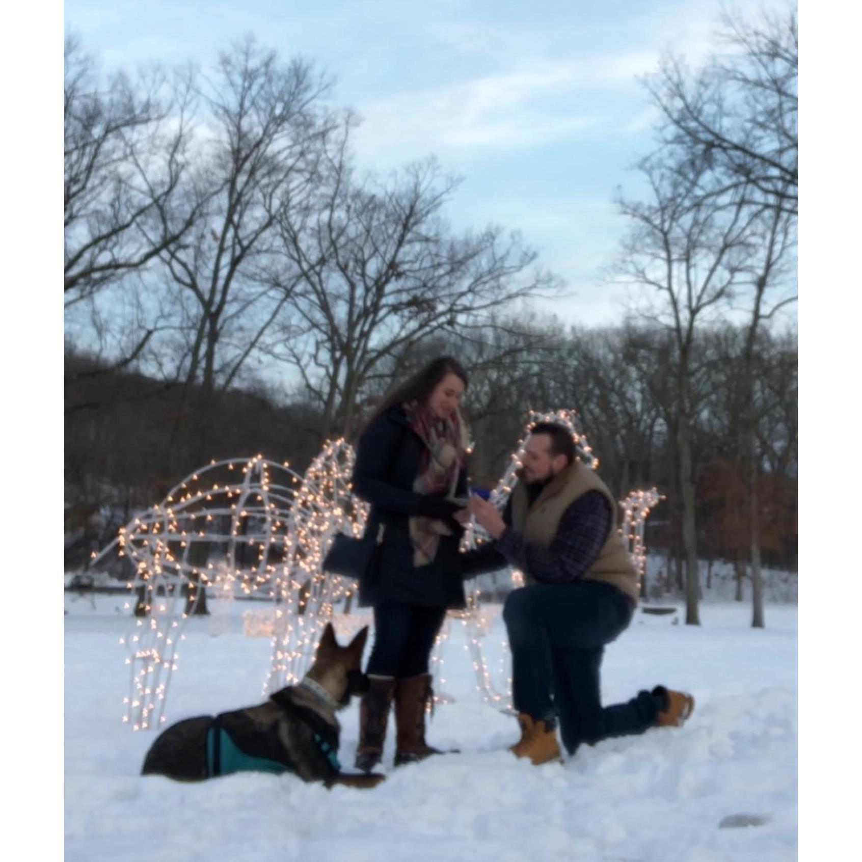 The Proposal!