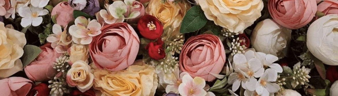 The Wedding Website of Nicole Ruvolo and Carter Frattarola