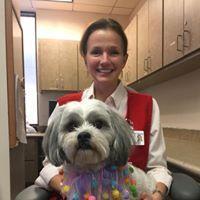 Sophie added Doggie DAZZLE to her collars every Monday when she visits her human  friends in Hollings Cancer Center.