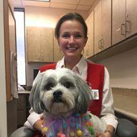 Sophie added Doggie DAZZLE to her collars every Monday when she visits her human friends in Hollings Cancer Center.