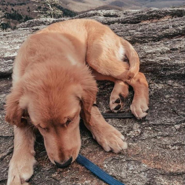 A picture of Winslow on the day John proposed to Jess