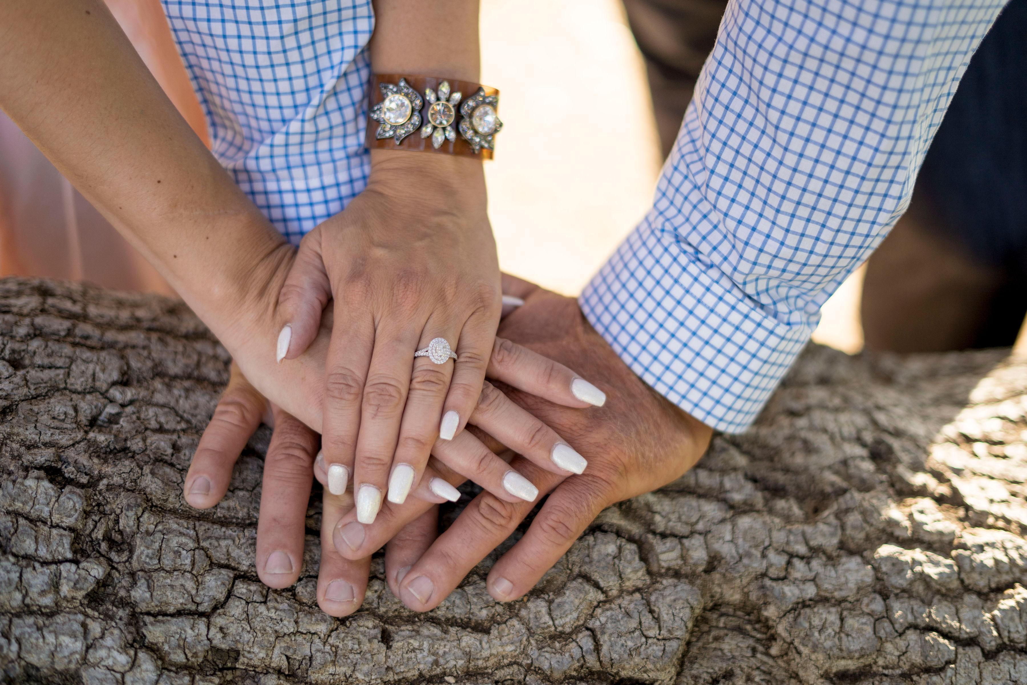 The Wedding Website of Leticia Saldana and Josh Esau