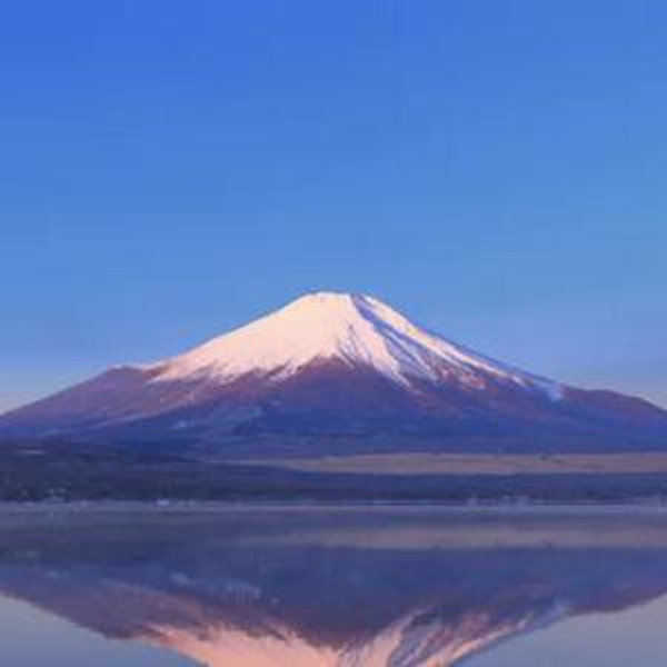 Mt. Fuji Hotel