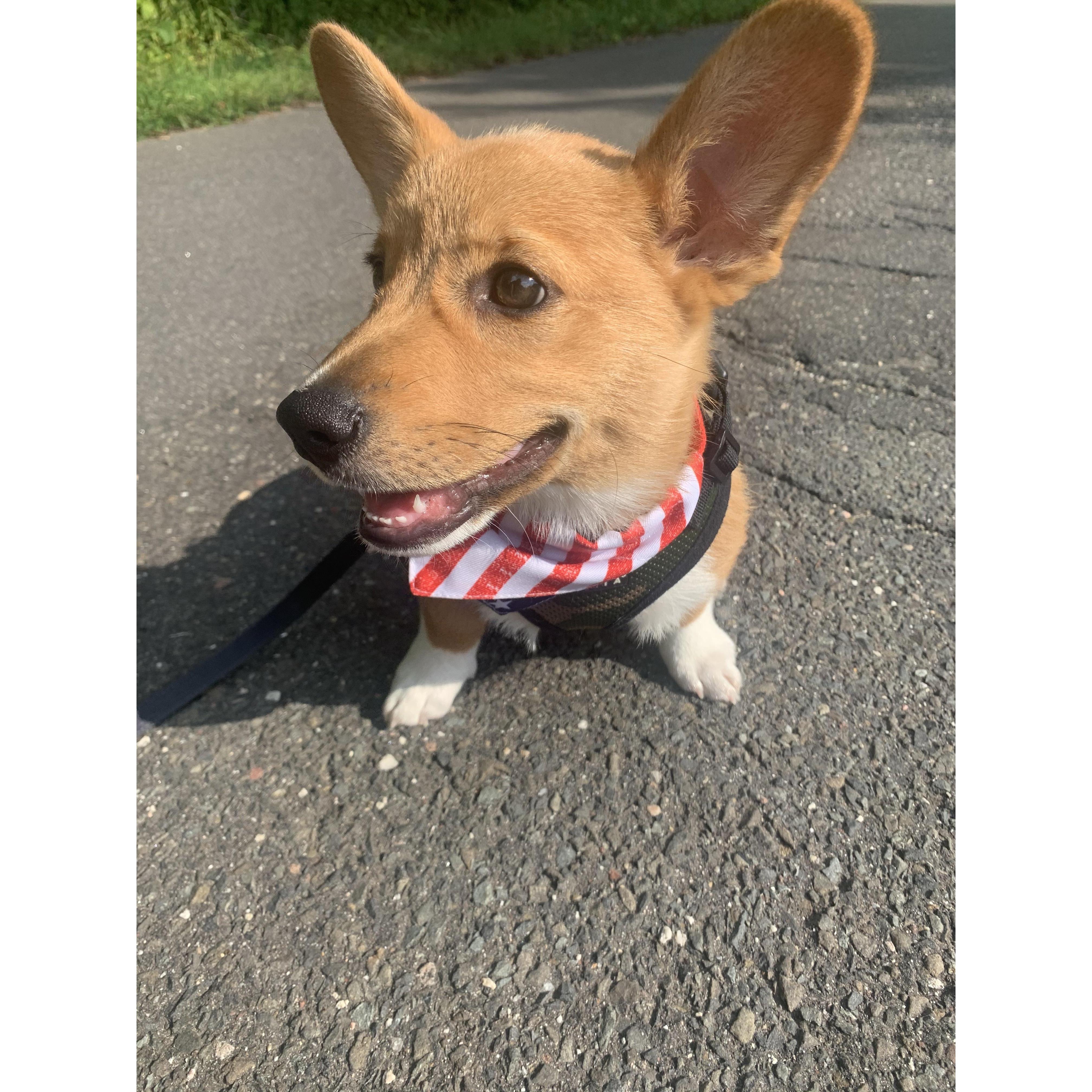 Our Frankie!