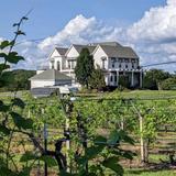 Tara Vineyard & Winery