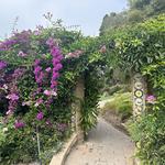 San diego Botanic garden