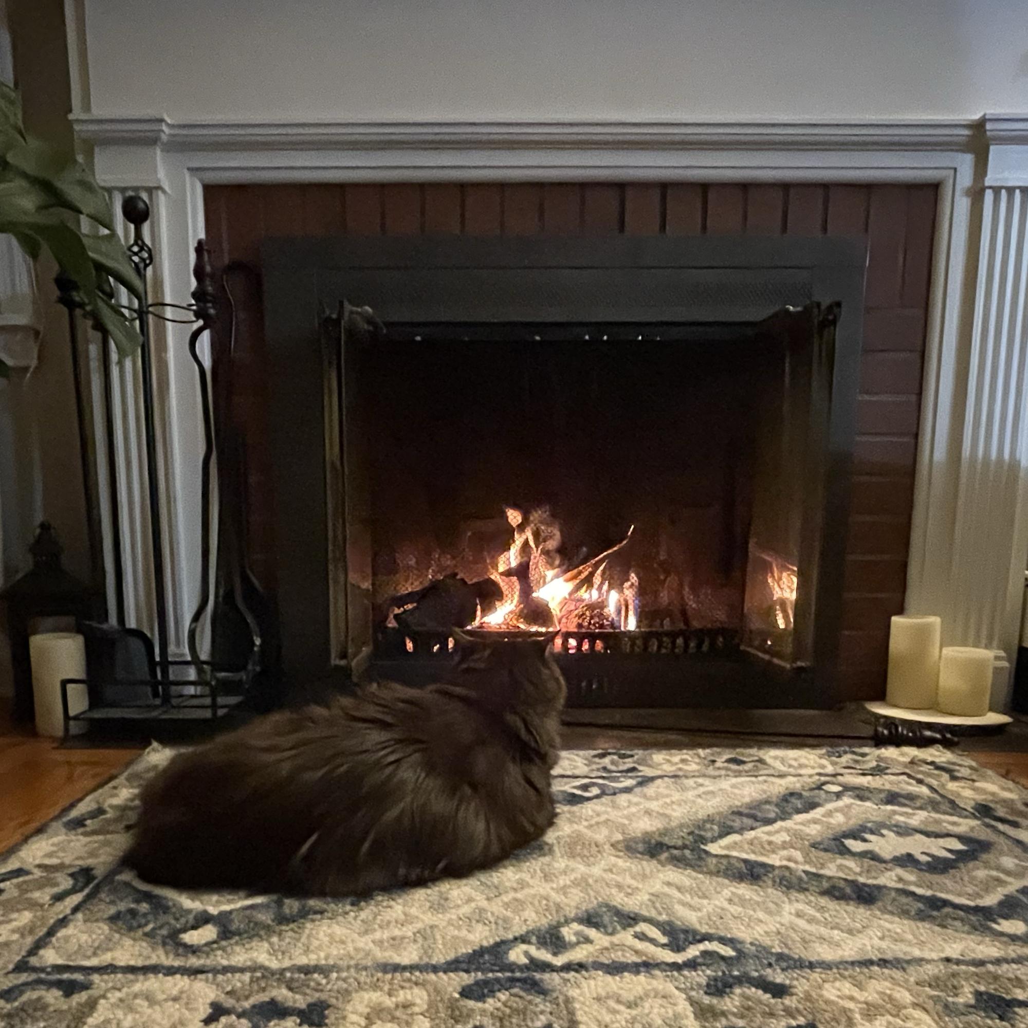 Our Home Renovation Fund
