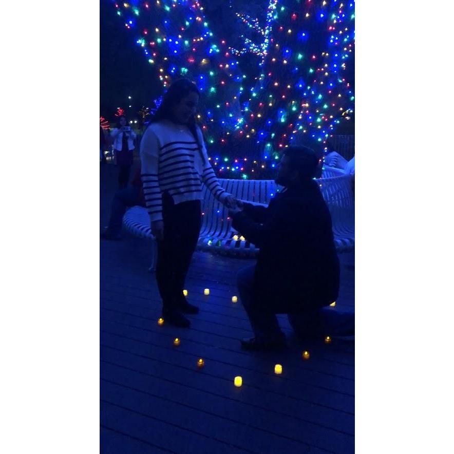 The gorgeous proposal!